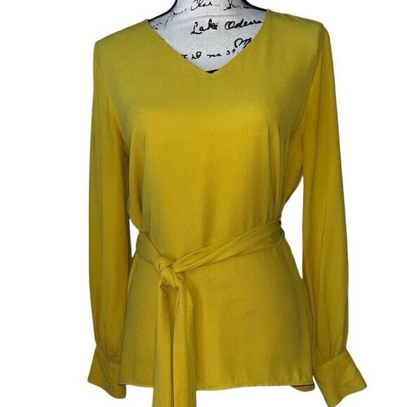Ann Taylor golden v-neck belted blouse small - Picture 1 of 7
